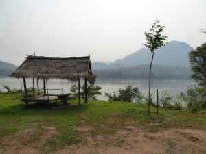 P1030235