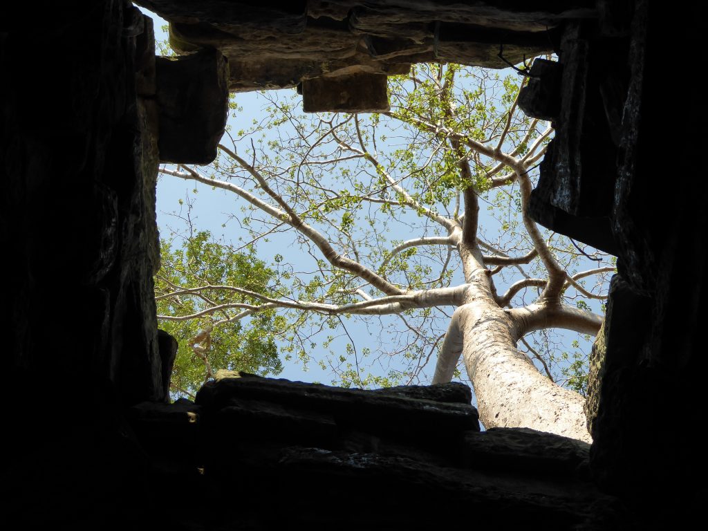 Where did the roof go? Inside Ta Phrom Temple